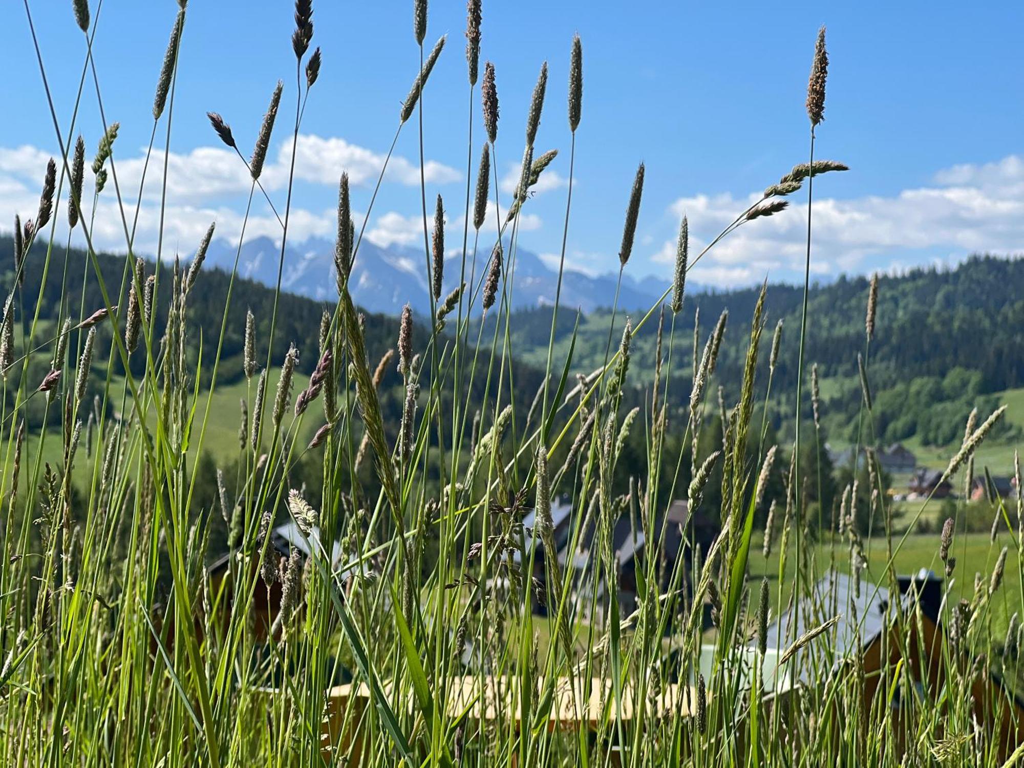 Houten Vakantiewoning "Reisnaarpolen" Royaal Ontbijt, Sauna En Hottub Czarna Góra Esterno foto